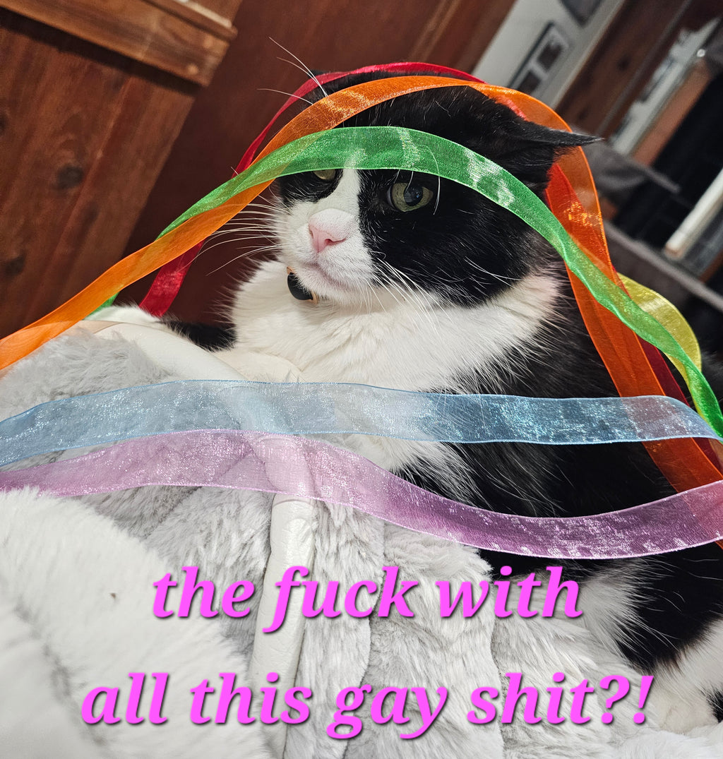 Hazbin hotel pride wands, rainbow ribbon. (Cat not included) 🤭
